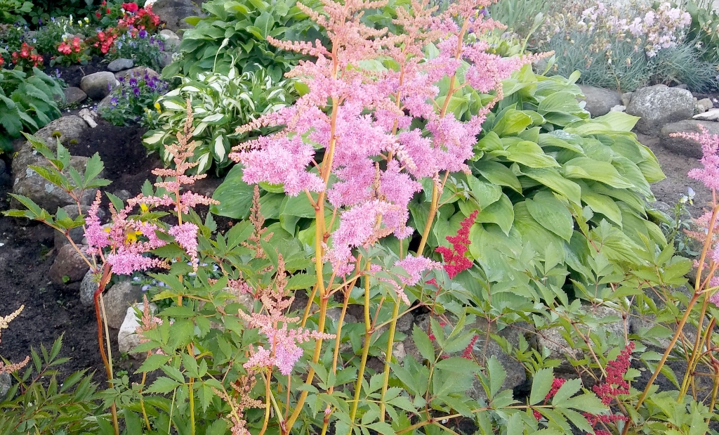 Autors: ilustratīvs foto: Pārsla Konrāde