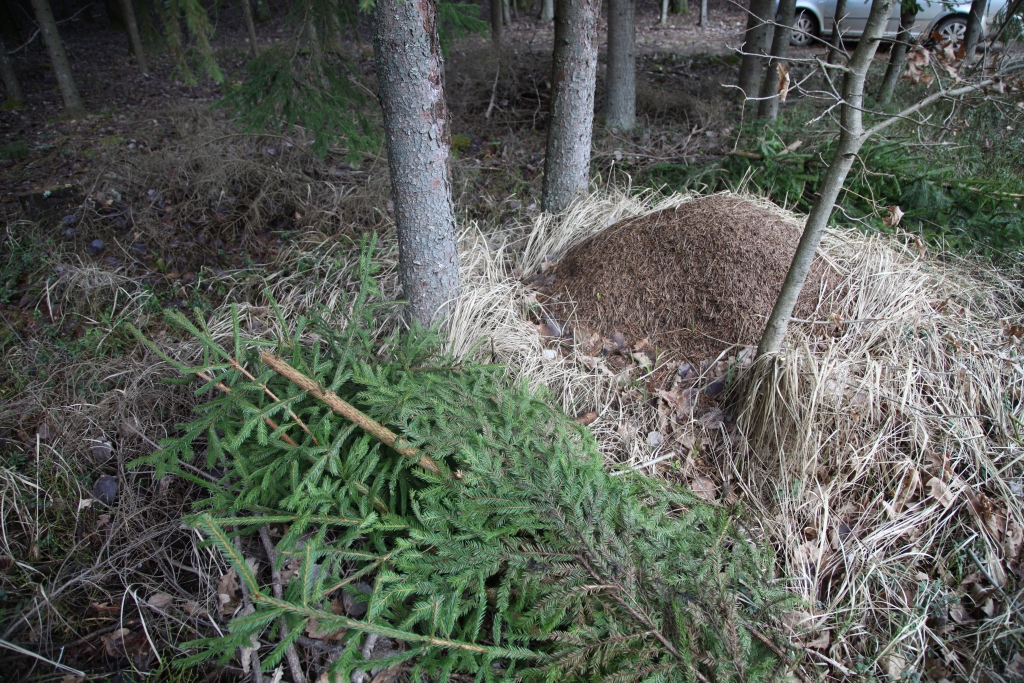 Autors: Gatis Bogdanovs