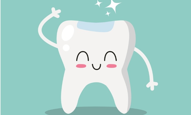 Autors: number18dental.com