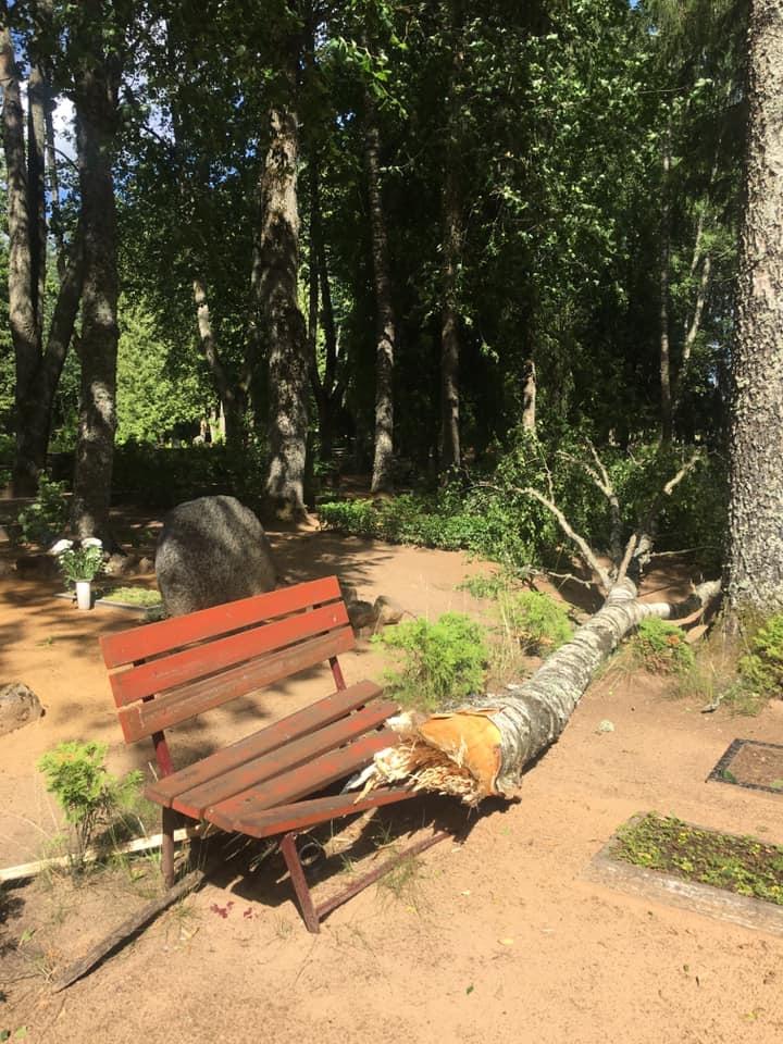 Autors: Diāna Odumiņa