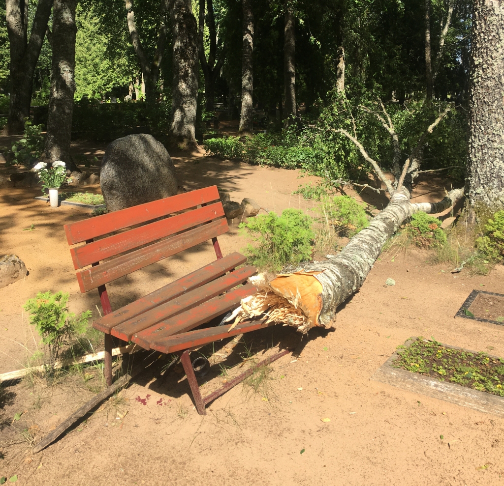 Sestdien, 11.jūlijā, Gulbenē bija spēcīgs vējš. Pilsētas vecās kapsētas apmeklētāji redzēja, ka ir lūzuši daža vecā koka zari. Pavisam prāvs bērza zars bija ielauzis vismaz divus kapu soliņus un izkustinājis no vietas vismaz vienu kapakmeni. 	
Autors: Diāna Odumiņa