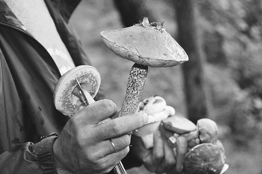 Autors: DAINIS ĢELZIS