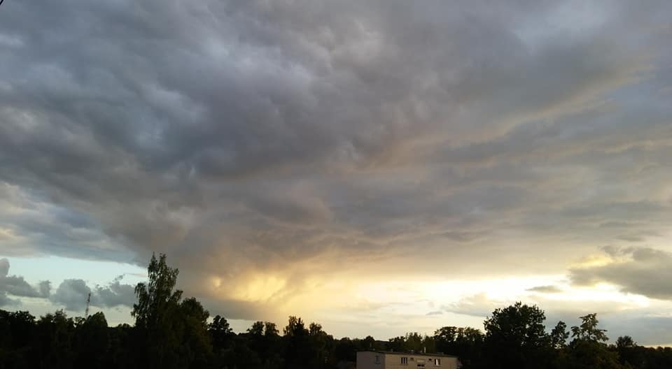 Autors: Pārsla Konrāde