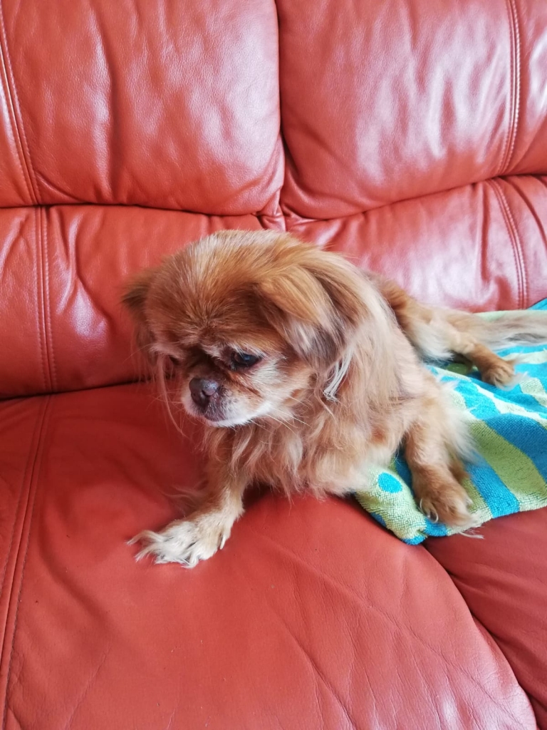 Autors: Ira Žeigure