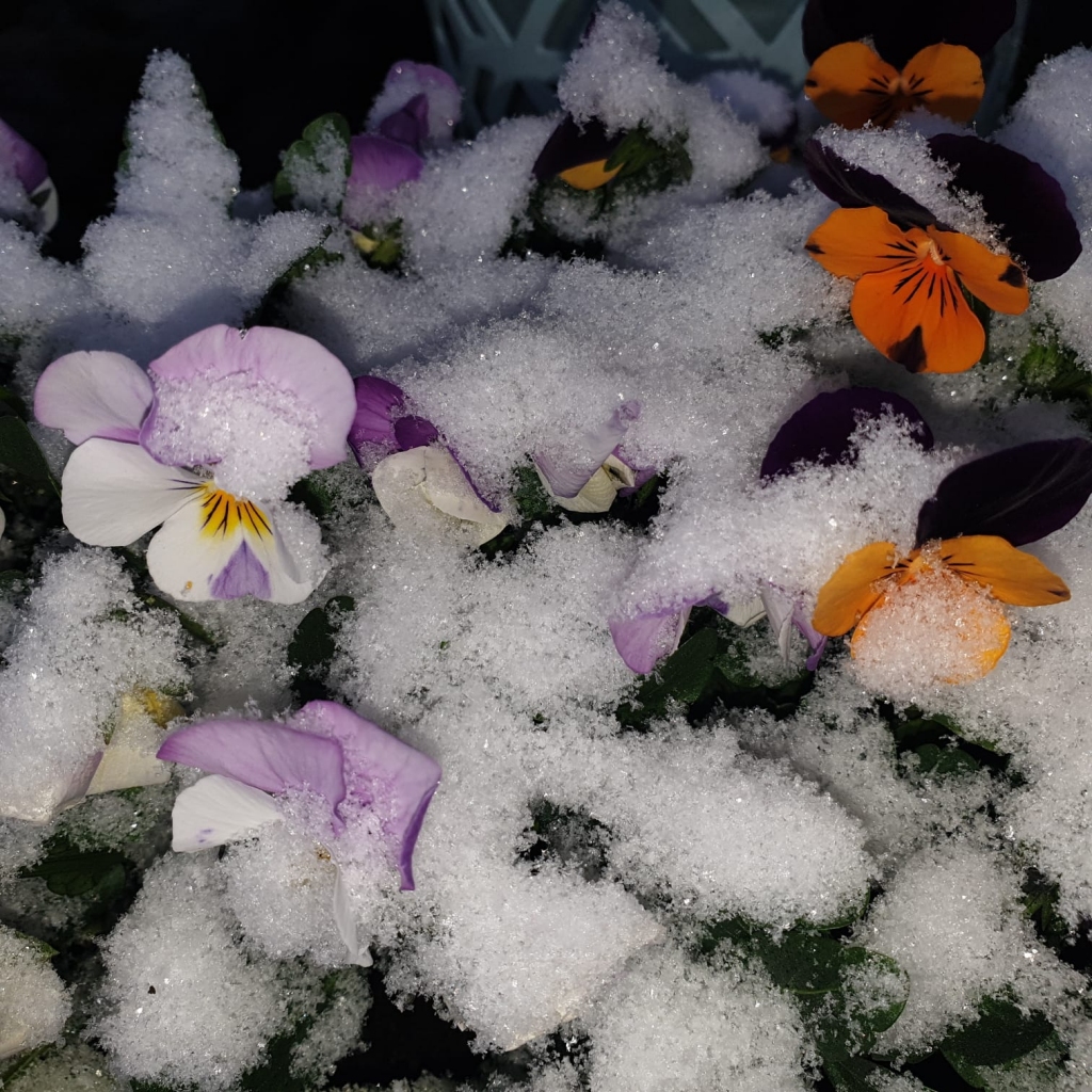 Autors: Gunita Ābeltiņa