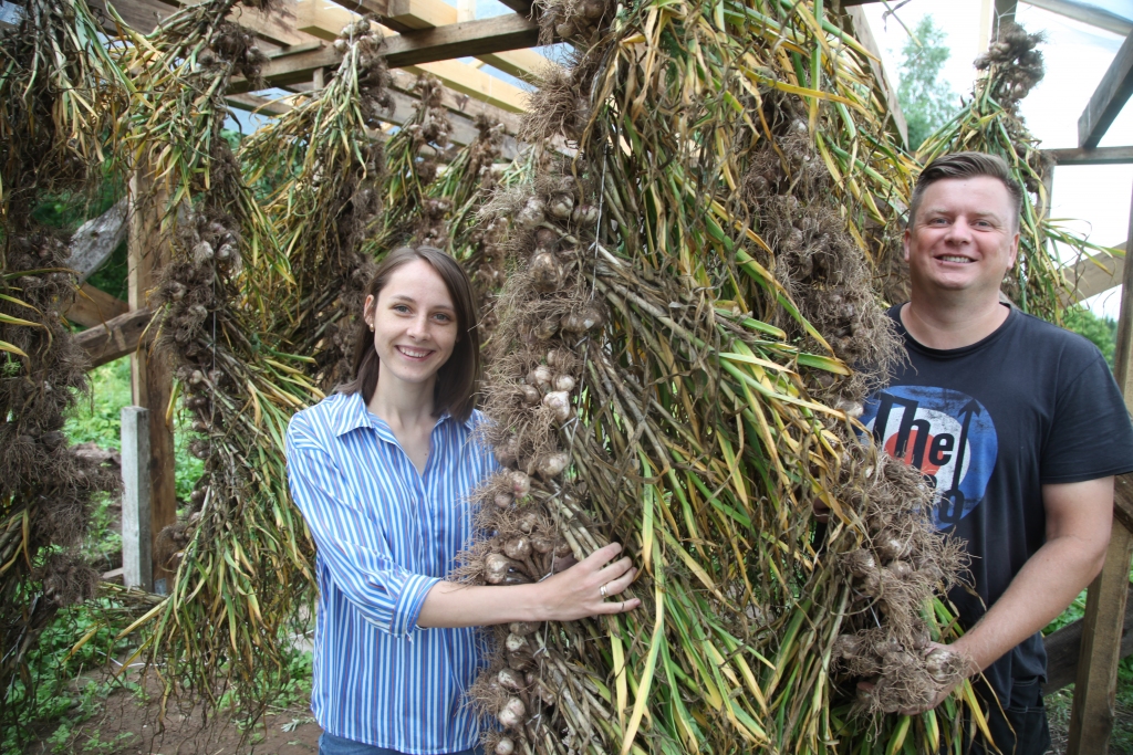 Māris un Paula Priednieki priecīgi, ka jau otro gadu viņiem izdodas izaudzēt labu ķiploku ražu. Šī jaunā ķiploku raža ātrajam patēriņam jau sagatavota. Tie ir ekoloģiski tīri. 
Autors: Gatis Bogdanovs