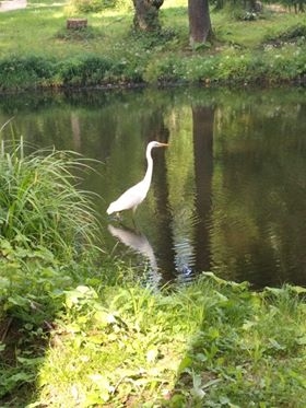 Autors: Karīna Sidorova