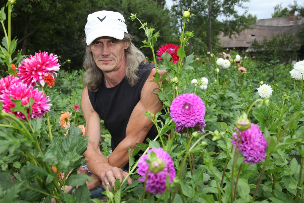 Omārs Kivkucāns atsaucās “Dzirksteles” aicinājumam un labprāt parādīja dāliju dārzu, uzsverot, ka visas vēl nav saziedējušas. 
Autors: Gatis Bogdanovs