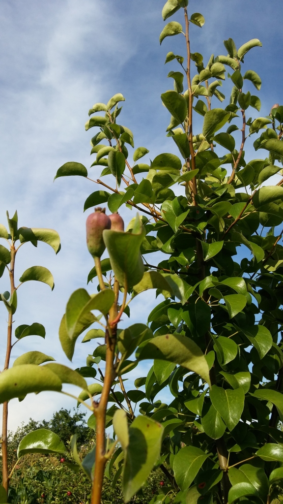 Autors: no privātā arhīva