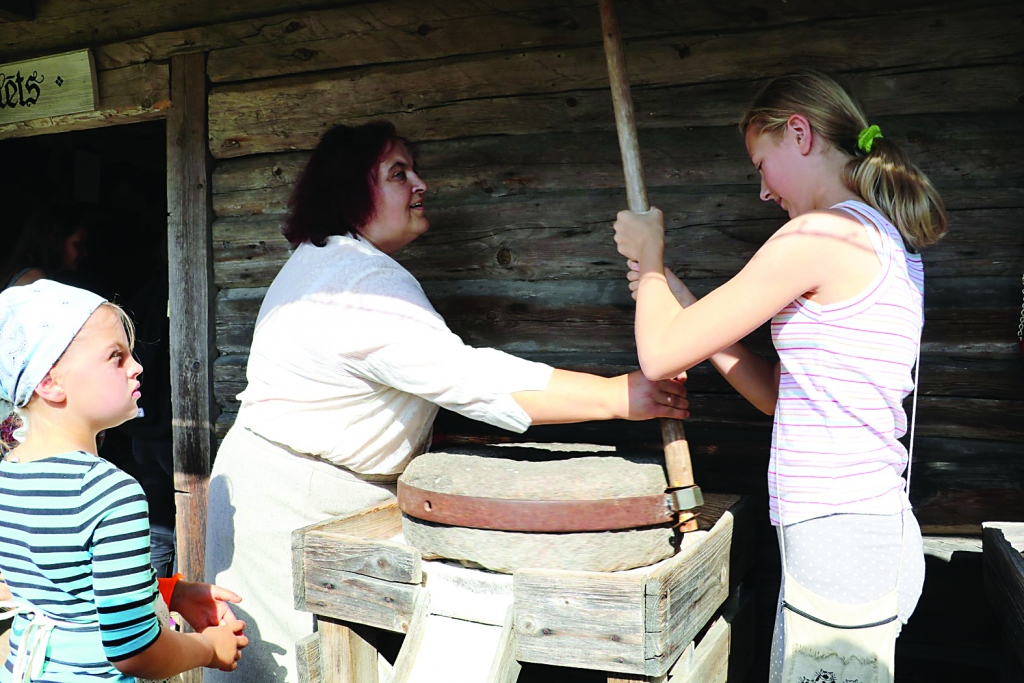 Aluksniesiem.lv raksta attēla aizvietotājs