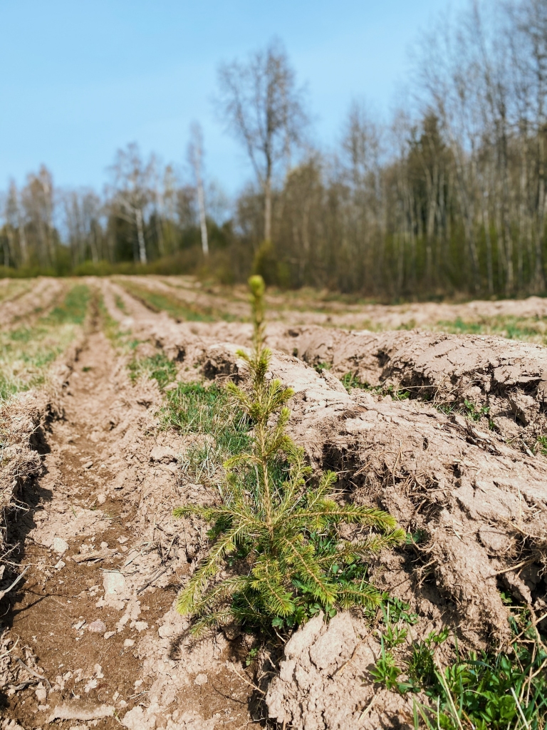 Autors: publicitātes foto