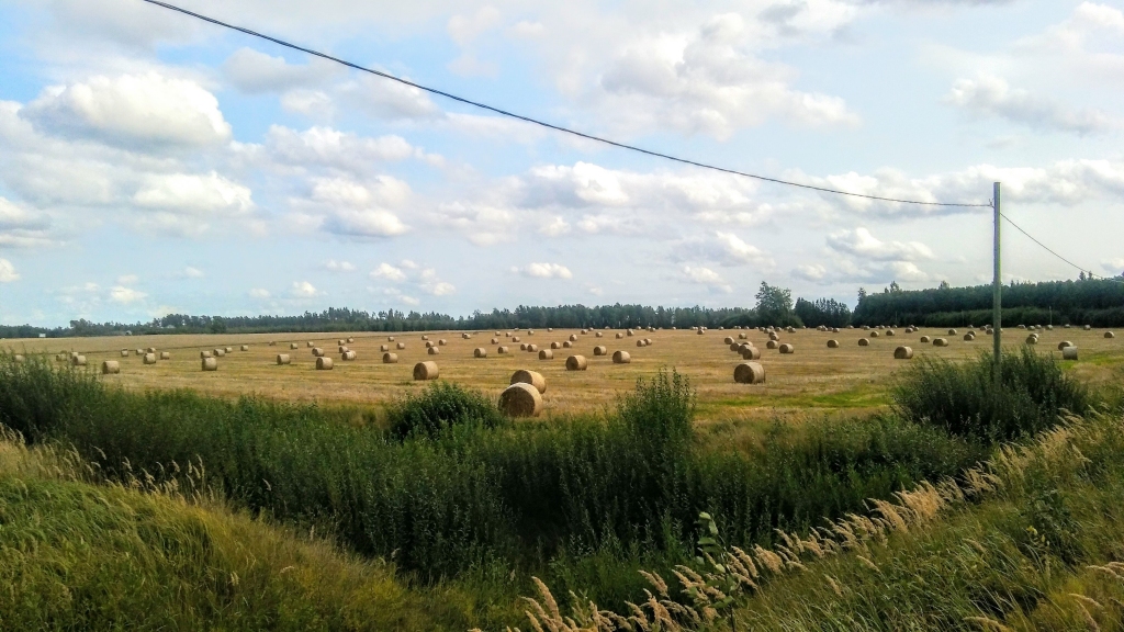 Autors: Pārsla Konrāde