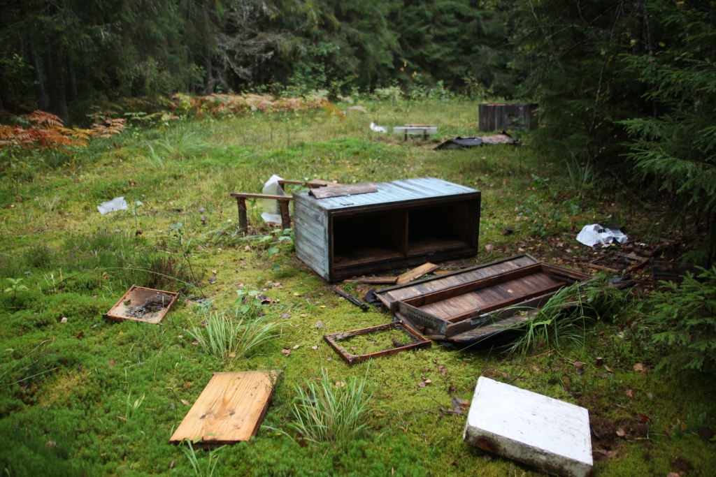 Autors: Gatis Bogdanovs