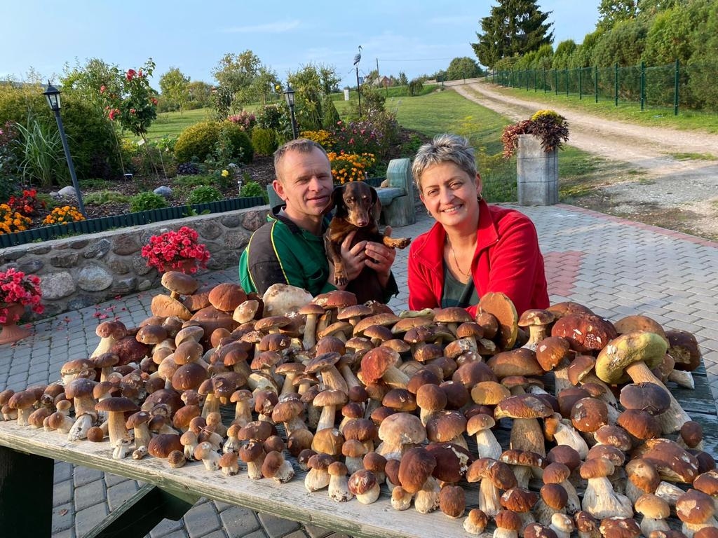 Sanita Tabūne kopā ar vīru un meitu ir aizrautīgi sēņotāji, bet šādu baraviku gadu vēl neesot piedzīvojuši! Blakus apšubekām, vilnīšiem un bērzlapēm šogad baravikas tiek celtas īpašā godā. 
Autors: no privātā arhīva