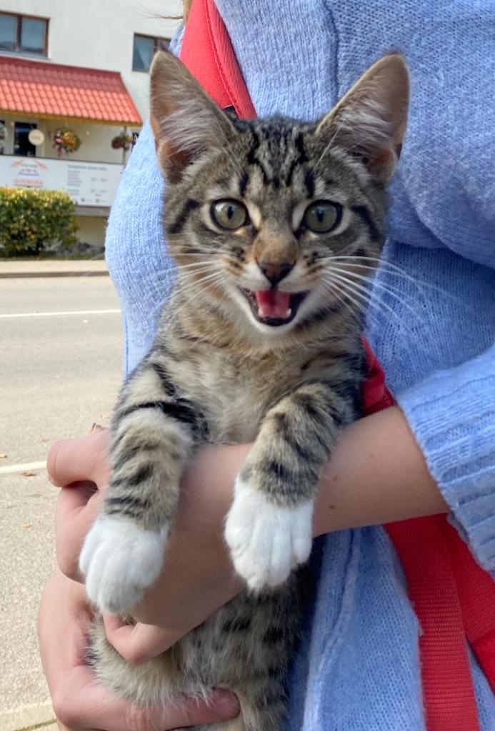 Autors: Ira Žeigure