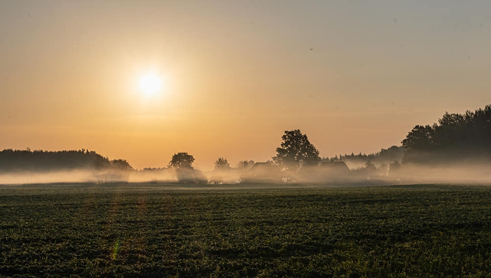 Autors: Rita Hofmane