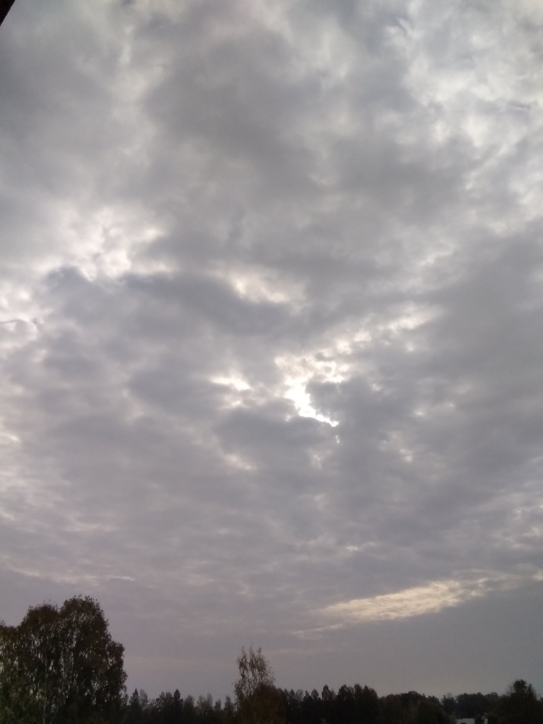 Autors: Pārsla Konrāde