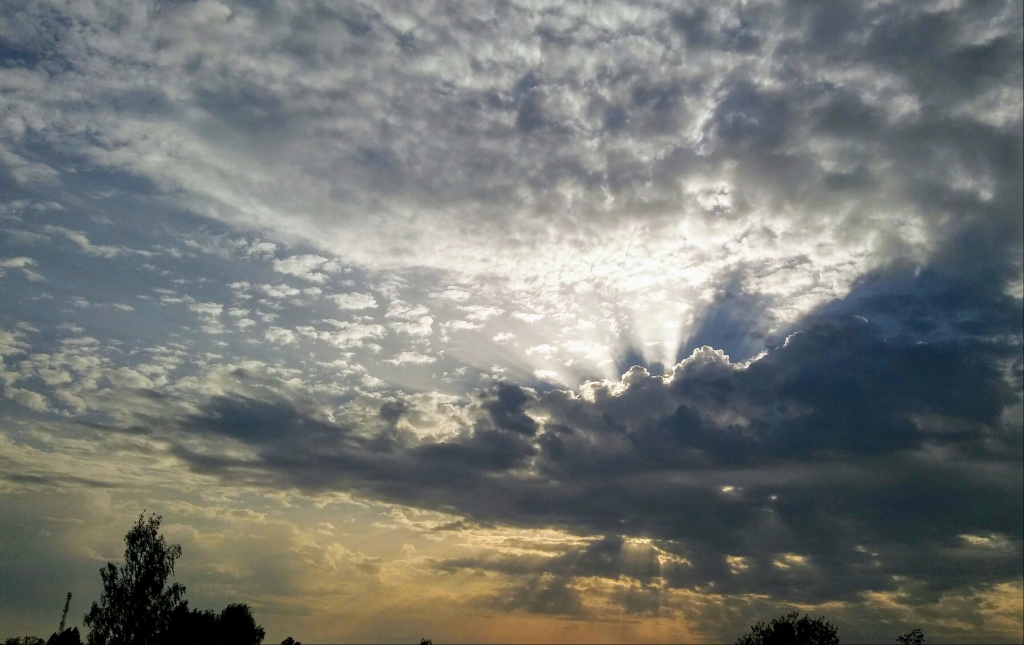 Autors: Pārsla Konrāde