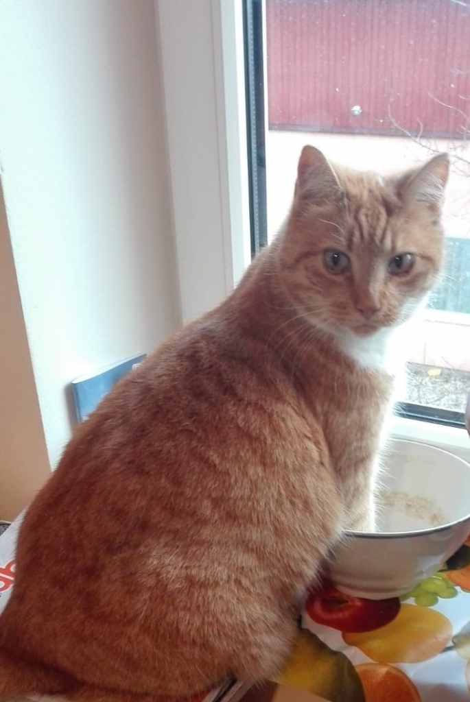 Autors: no privātā arhīva