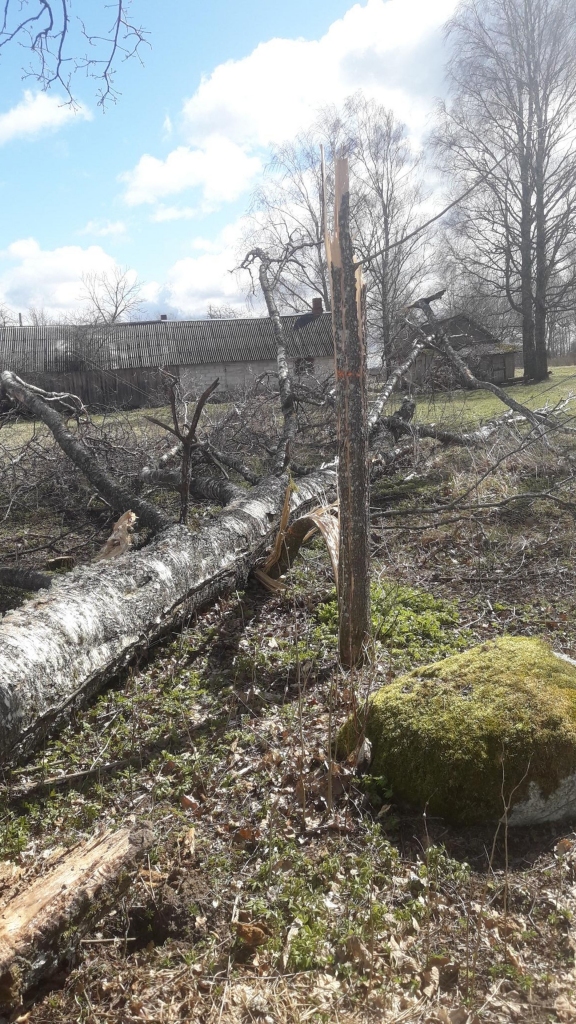 Ilustratīvs foto
Autors: “Sadales tīkls”