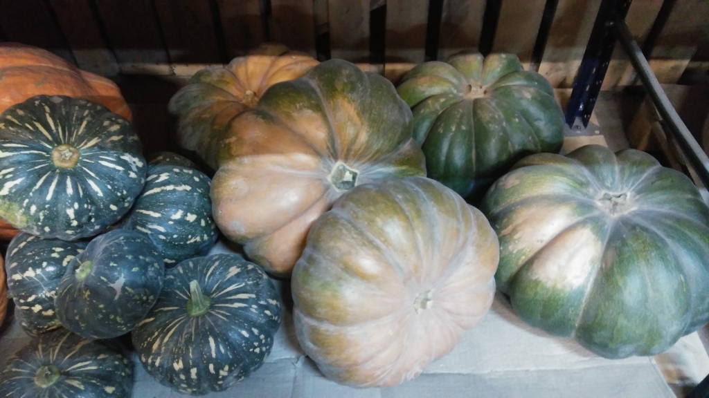 Autors: Pārsla Konrāde