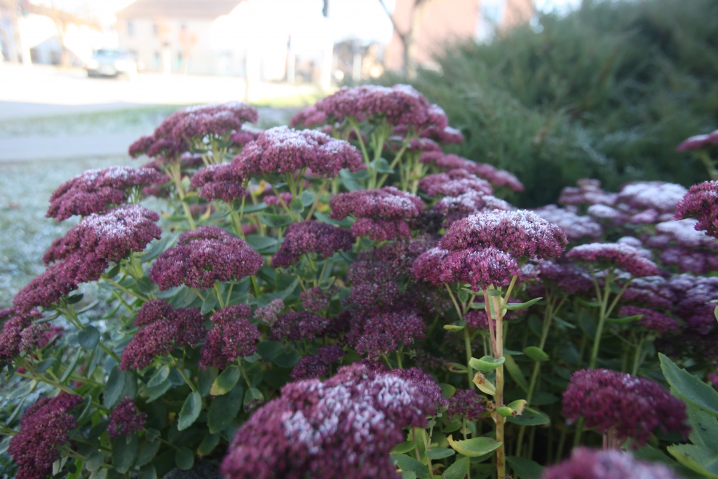 Autors: Gatis Bogdanovs