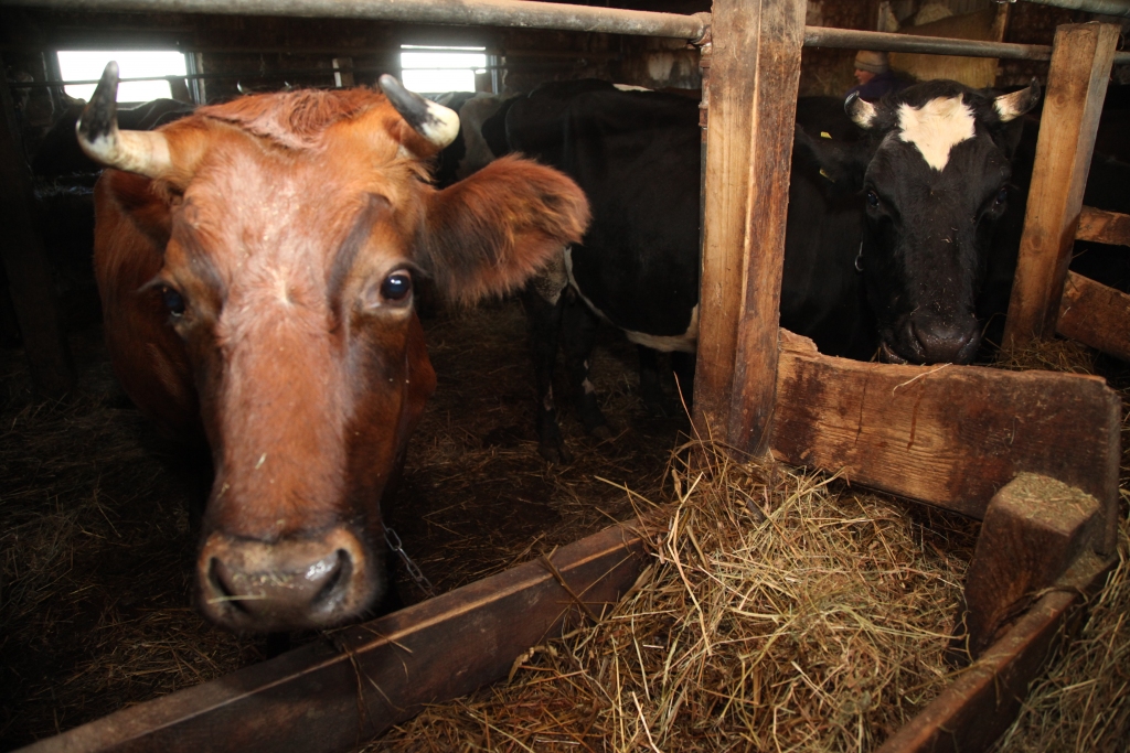 Ilustratīvs foto.
Autors: no 