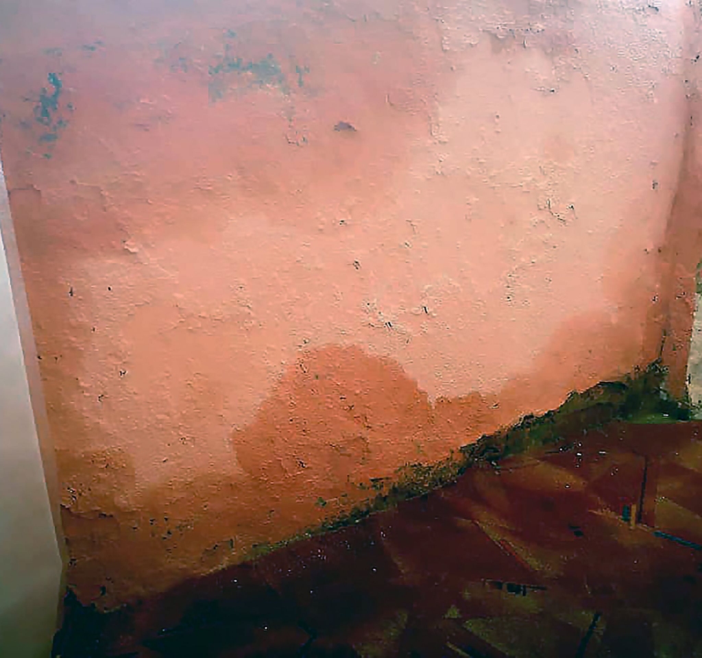 Par nesen veikto remontu vairs nekas neliecina - sienas slapjas, paklājs - pelē.  	
Autors: no personiskā arhīva