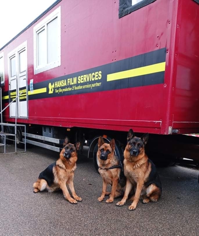 Pildīdama sardzes funkcijas, Iveta Sarmanova arī testēja savus suņus. Secinājusi, ka visi ir apveltīti ar līdzsvarotu raksturu un augstām darbaspējām: viņi vienlīdz lieliski jūtas kontaktā ar bērniem un profesionāli spēj pārslēgties uz darbu apsardzes postenī. 
Autors: Diāna Odumiņa