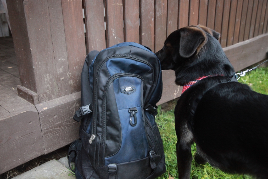 Ilustratīvs foto
Autors: Gatis Bogdanovs