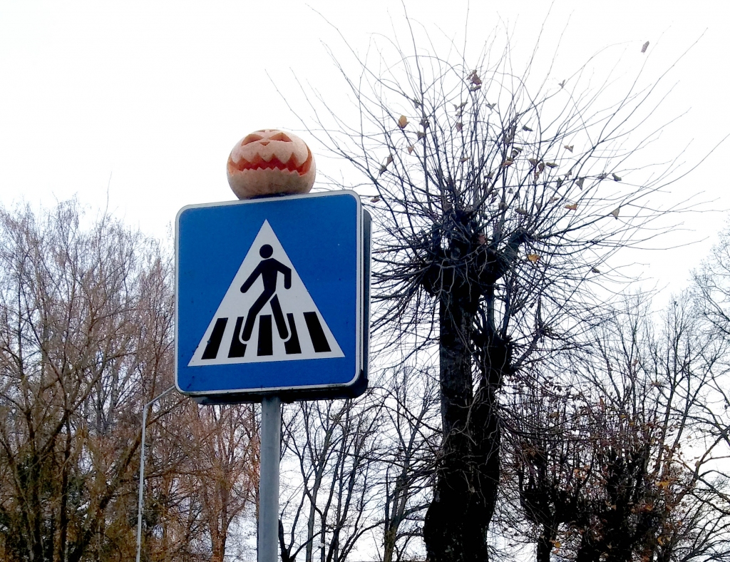 Autors: Pārsla Konrāde