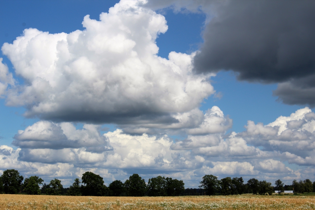 Autors: Iveta Kilinkaridou