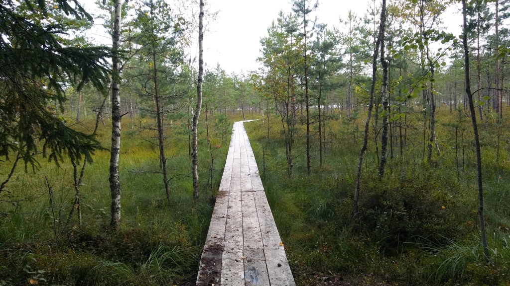 Autors: Pārsla Konrāde