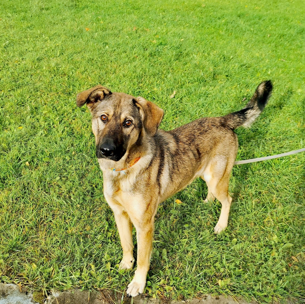 Autors: no privātā arhīva