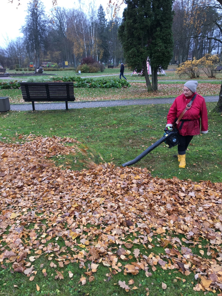 Vai pūtējs ir labāks par grābekli? Gulbenes novada pašvaldības Labiekārtošanas iestādes sētniece Vizma Tauriņa saka – ja viņai nebūtu pūtēja, varētu teju palikt bez rokām, kopjot Gulbīšu parku. Viņai šis darba instruments patīk. 
Autors: Diāna Odumiņa
