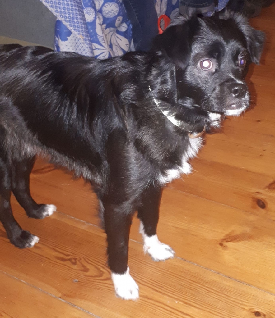 Autors: no privātā arhīva