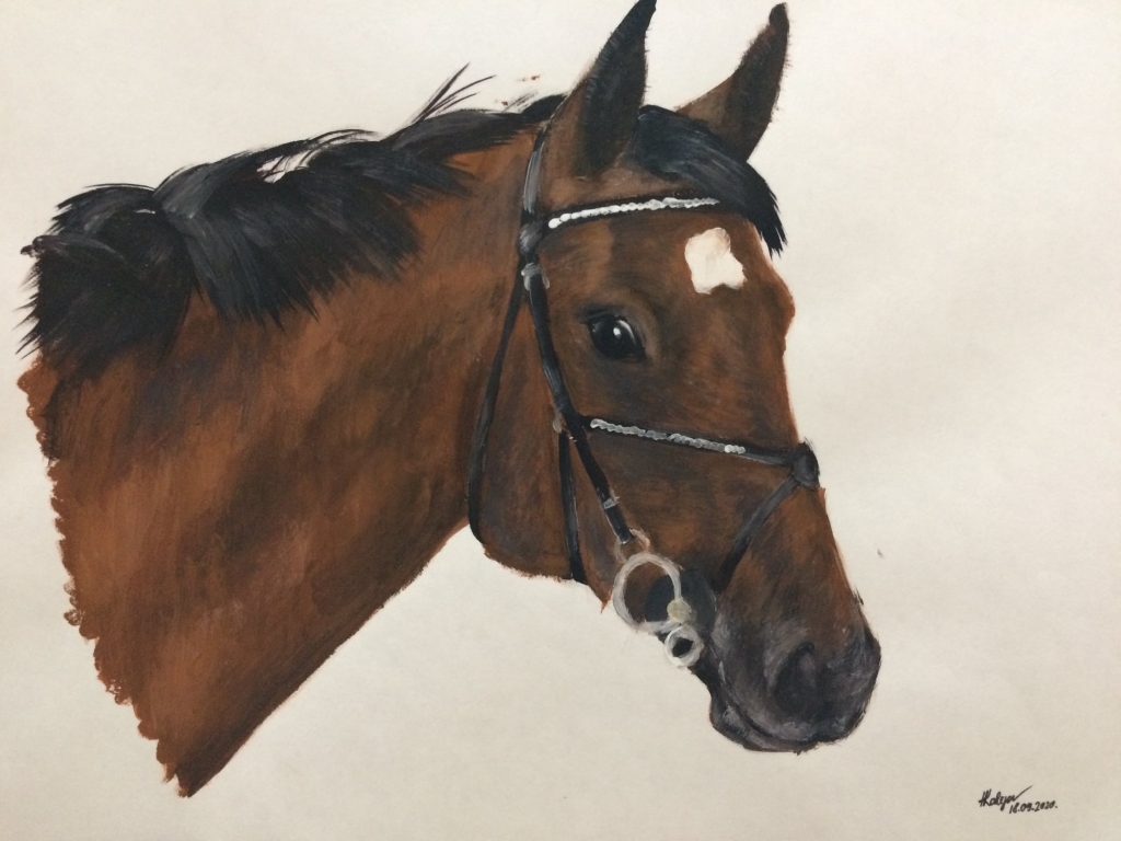 Autors: Facebook.com/lizuma.biblioteka