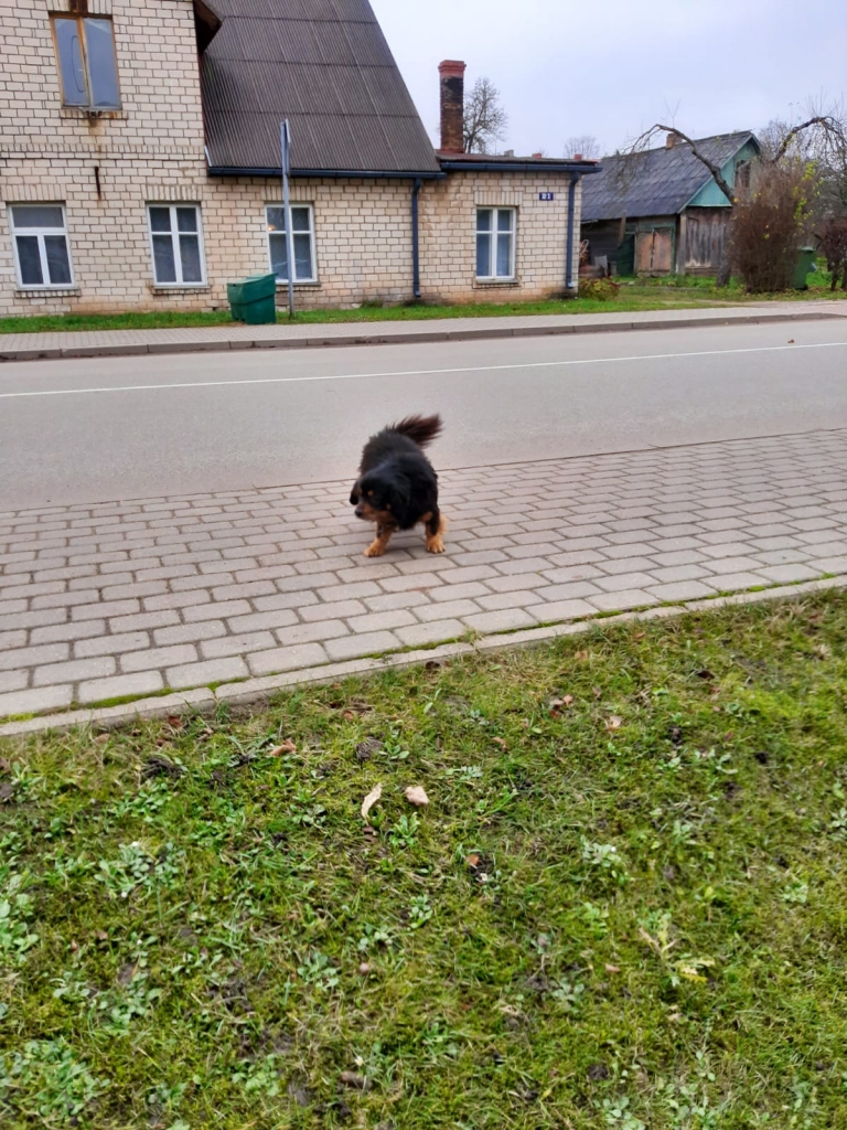 Autors: no privātā arhīva