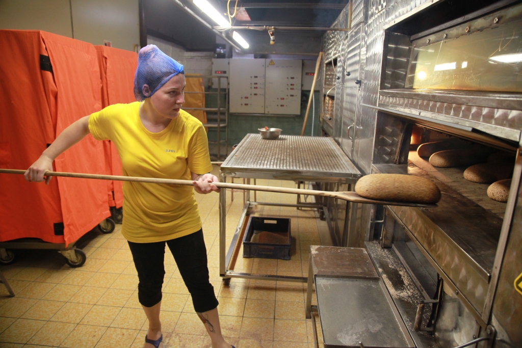 Svaigi ceptas maizes klaipiņi šogad smaržo tieši tāpat kā citus gadus. Rankas pagasta zemnieku saimniecības “Ķelmēni” maizes ceptuvē katru dienu no krāsnīm tiek izņemtas vairāk nekā trīs tonnas produkcijas – gan rupjmaize, gan saldskābmaize. Guna Maļugina (attēlā) ir viena no maizes cepējām, kuras veikumu novērtē tuvu un tālu. Tomēr šis gads, kā norāda “Ķelmēnu” saimnieks Juris Paulovičs, nav bijis viegls. 													   Foto: 
Autors: Gatis Bogdanovs