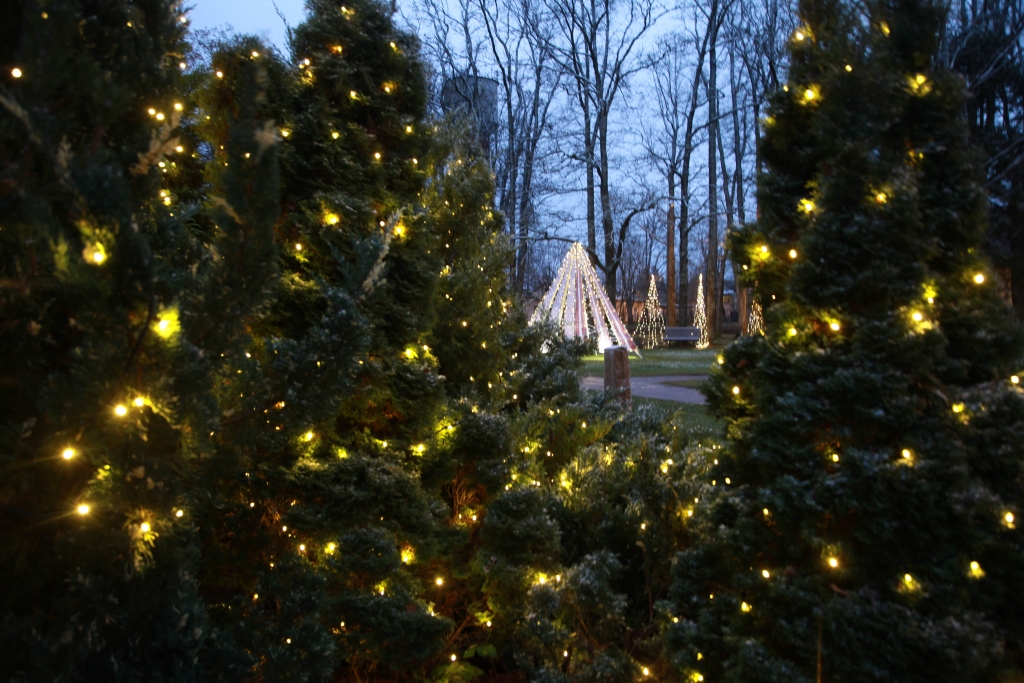 Gulbīšu parks iemirdzējies krāšņās gaismiņās, tā radot svētku atmosfēru. 
Autors: Gatis Bogdanovs