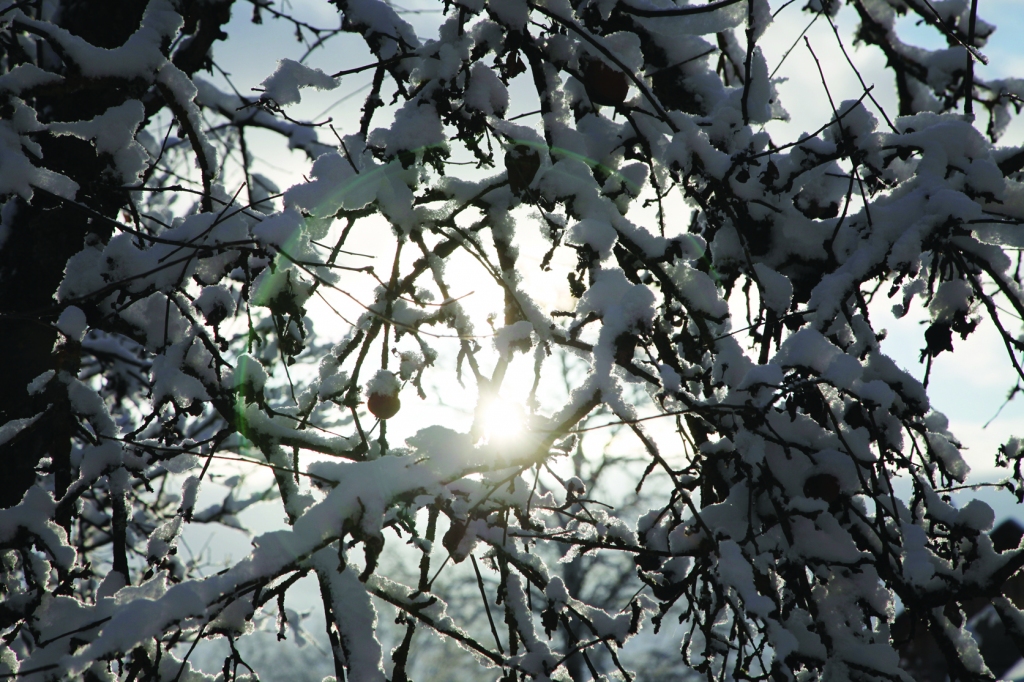 Autors: no “Dzirksteles” arhīva