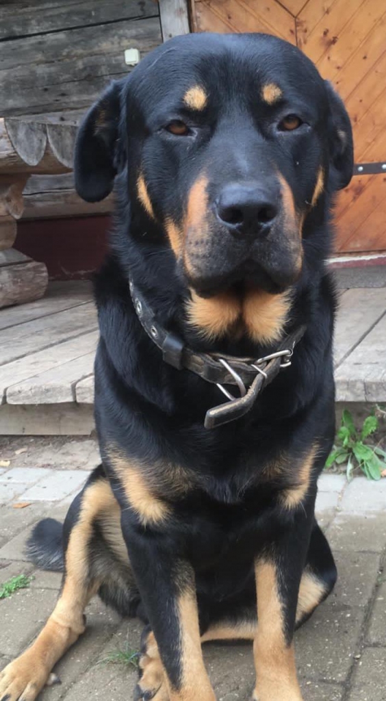 Autors: no privātā arhīva