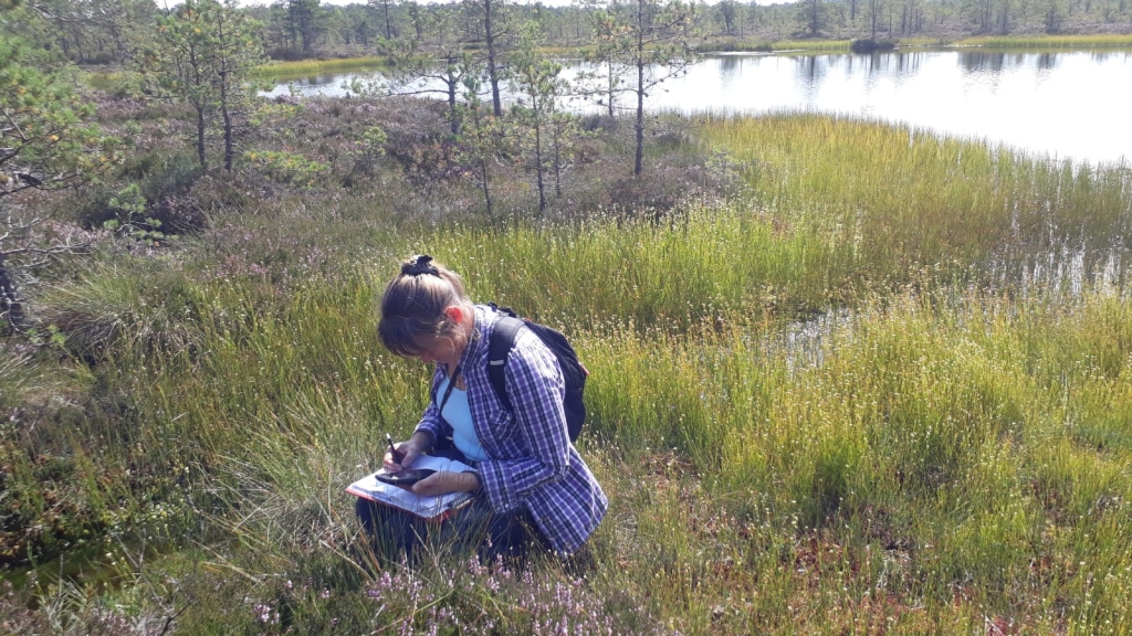 Purva apsekojumi.
Autors: publicitātes foto