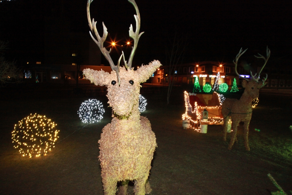 Autors: Gatis Bogdanovs