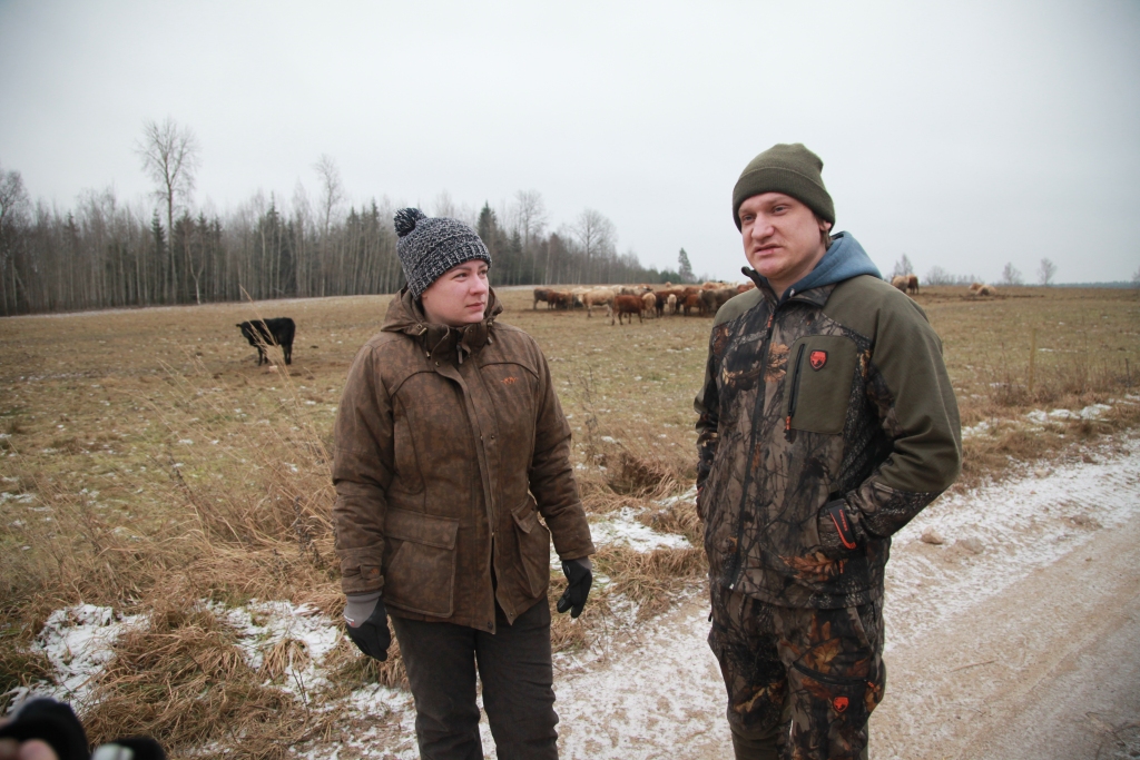 Signe un Artūrs Ceļmilleri jau desmit gadus saimnieko Tirzas pagastā, audzējot gaļas liellopus. “Esam bioloģiskās gaļas liellopu saimniecība “Stigas”. Tā kā gaļas liellopu cenas krīt, esam raduši risinājumu, kā citādāk tirgot savu gaļu, un tie ir pelmeņi - kvalitatīvs produkts no pašu audzēta jaunlopa: mīksti, sulīgi un galvenais - ļoti gardi,” saka Signe. Abi ir priecīgi, jo pieprasījums pēc pelmeņiem ir pārsteidzoši labs! “Nedomājām, ka uzreiz ies tik labi,” saka Signe un Artūrs.	
Autors: Gatis Bogdanovs