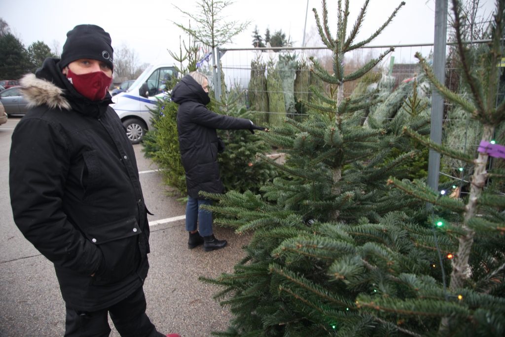 Autors: Gatis Bogdanovs