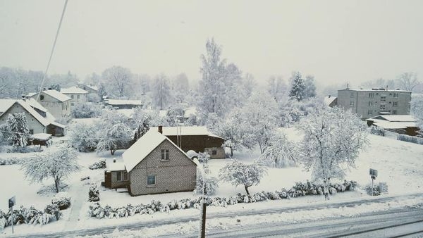 Autors: Pārsla Konrāde
