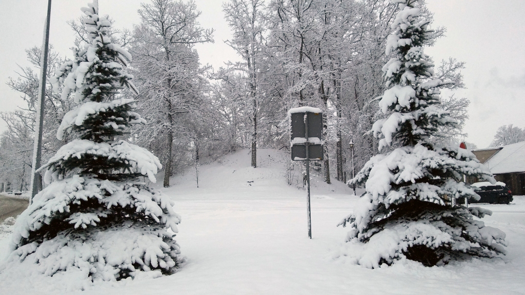 Autors: Pārsla Konrāde