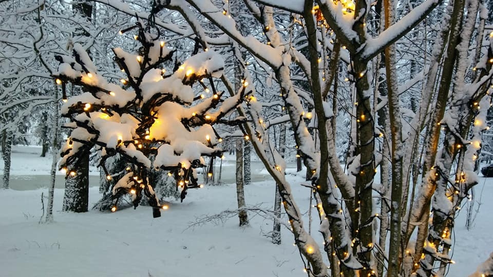 Autors: Pārsla Konrāde