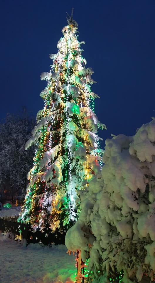 Autors: Pārsla Konrāde